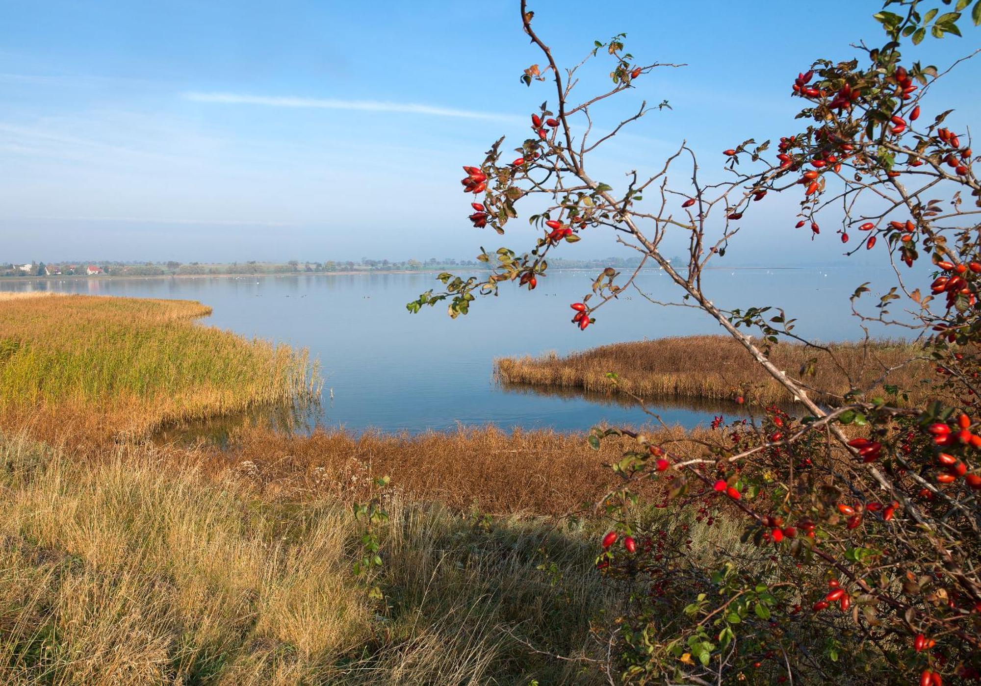 Residenz Am Yachthafen Strandaster Kirchdorf  Eksteriør bilde