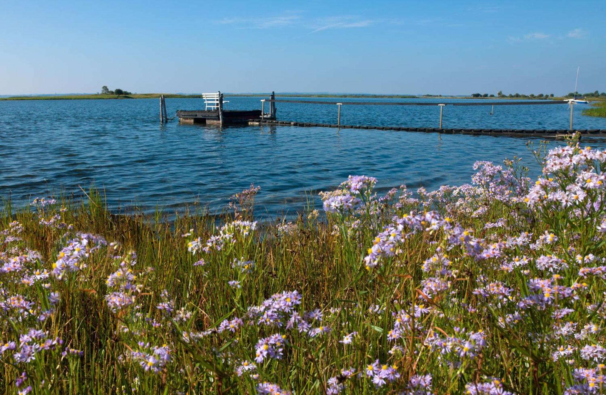 Residenz Am Yachthafen Strandaster Kirchdorf  Eksteriør bilde